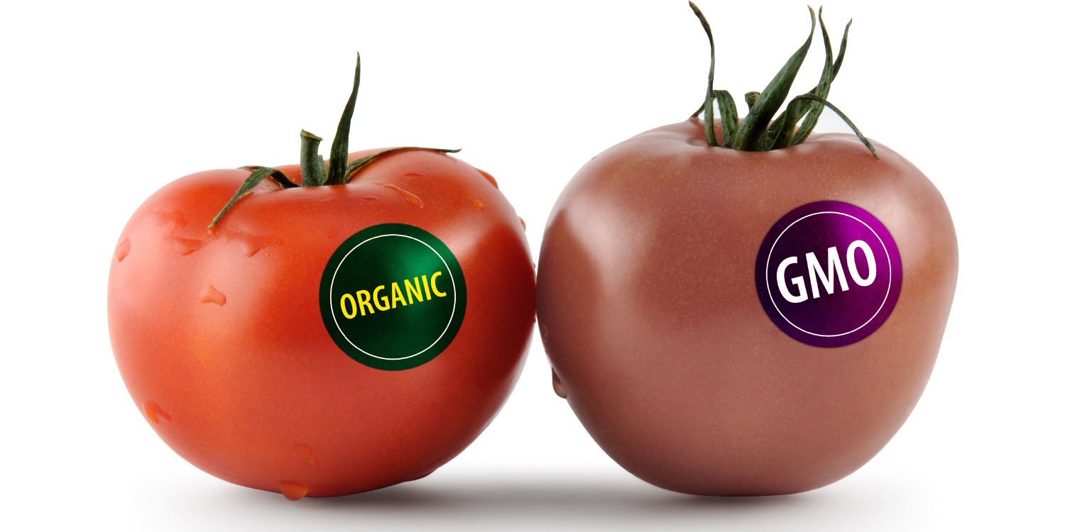 Genetically Modified Food